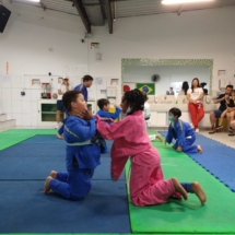 dem judo (11)