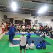 dem judo (25)