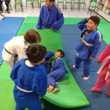 dem judo (8)