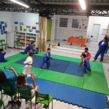 dem judo (9)